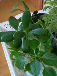 Авито Мотивация 🌿