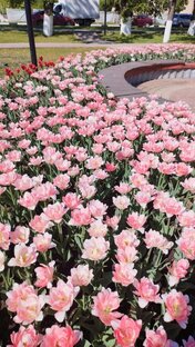 Мир природы 