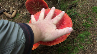 Тихая охота каждый сезон.