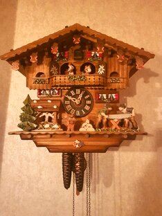 Истории домашние и дикие😺