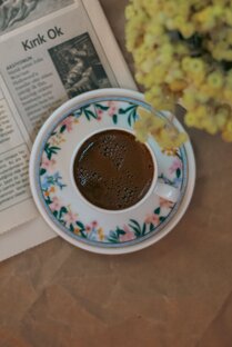 Турецкий язык