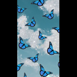 🦋•~HAK•~🦋