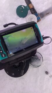 Подводная жизнь водоёмов