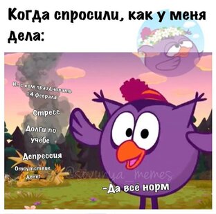 Мемы 