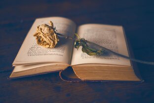 Библия и литература