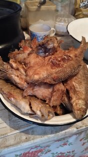 Рыбалка сетью 