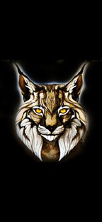 Смешные видио