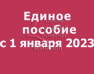 ЕДИНОЕ ПОСОБИЕ_2023