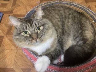 Деревенские игры