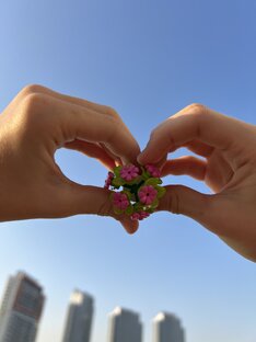 Лего 😁👌🐱🌺🎀🧡