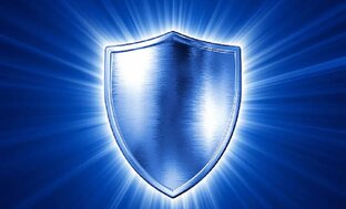 Звёзды спорта