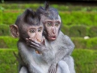 Удивительное