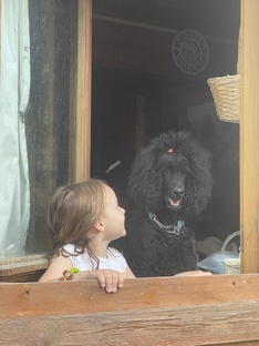 Жаки приехала в гости ❤️