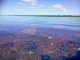 Кама