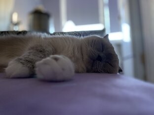 Личный опыт