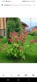 Дачные дела