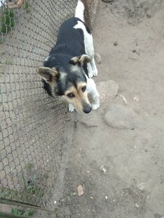 Мини ролики 