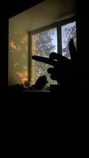 Посмеяться 