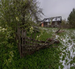 Новгородская область 