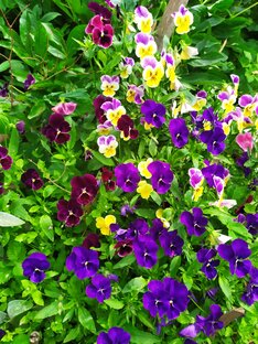 Стихи Владимировой Марины