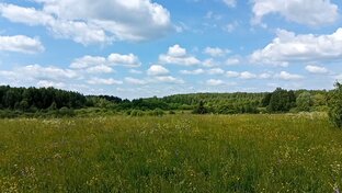 Родной край. 