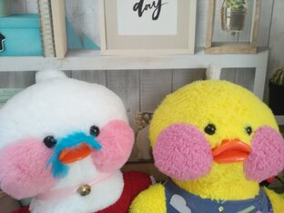 Моника первые видео