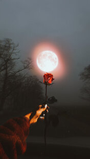 Я не могу любить тебя 