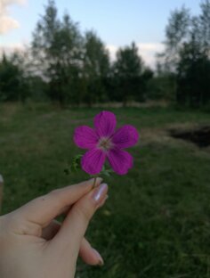 "Д". Мои отношения-терапия. 