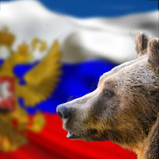 Мое мнение