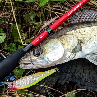 Обзоры снастей