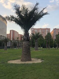 Город Краснодар