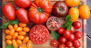 Семена и рассада