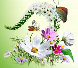 Мобилизую ресурсы