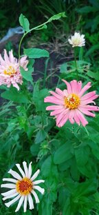 Психология 2023