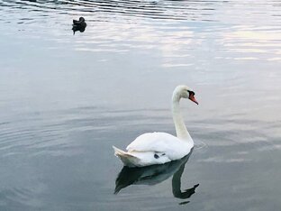 Россия. Изборск Псковская область