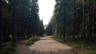 Районы Петрозаводска