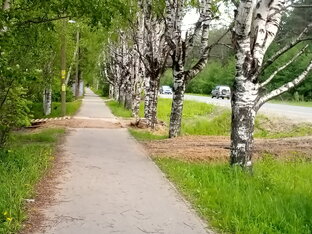Мой Затон.