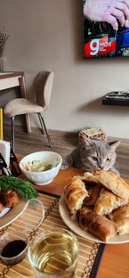 Эх, ловашика бы