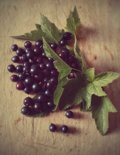 Коллекция "Фото на старенькой доске" 