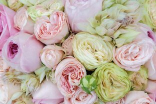 Первая любовь