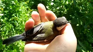 Лайфхаки - подсказки, полезный совет