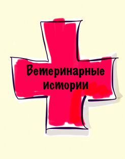 Ветеринарные истории