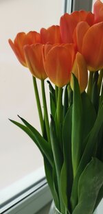 Эмоциональная зрелость