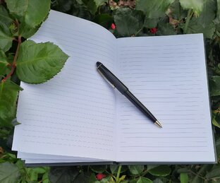 Мои стихотворения 