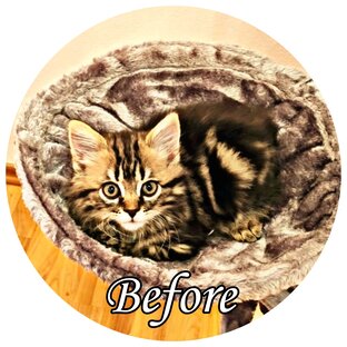 Befor/After