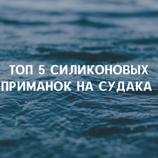 Топы силиконовых приманок 