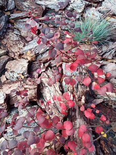 Полезные статьи