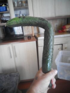 🥒Огурцы из магнита эксперимент🥒