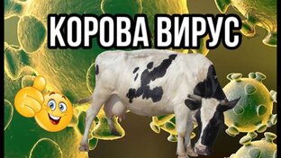 коронавирус