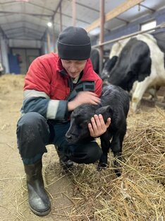 ФЕРМЕРСТВО СТАТЬИ